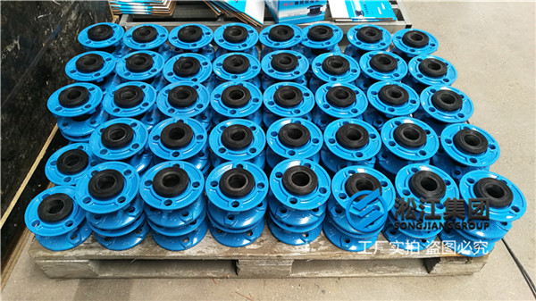 換熱器DN50 PN16橡膠接頭,介質(zhì)是熱水 換熱器DN50 PN16橡膠接頭,介質(zhì)是熱水